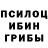 Псилоцибиновые грибы мухоморы dprzybycien
