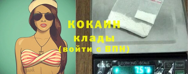 apvp Михайлов