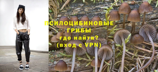 ГАЛЛЮЦИНОГЕННЫЕ ГРИБЫ Михайловск