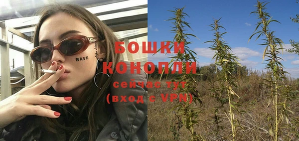 apvp Михайлов
