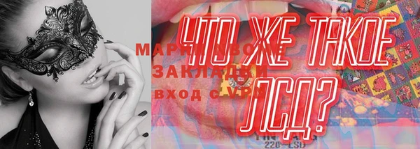 ГАЛЛЮЦИНОГЕННЫЕ ГРИБЫ Михайловск