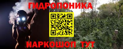 круглые Гусев