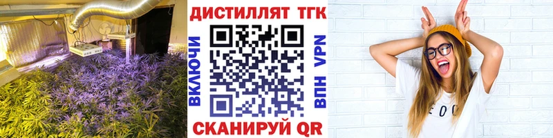 Дистиллят ТГК гашишное масло  где продают наркотики  Мурино 
