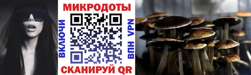 Галлюциногенные грибы ЛСД Мурино