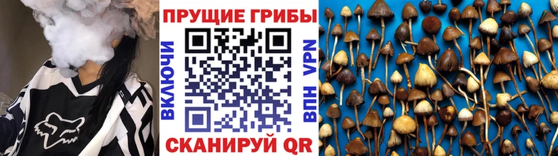 Псилоцибиновые грибы Magic Shrooms  продажа наркотиков  Мурино 