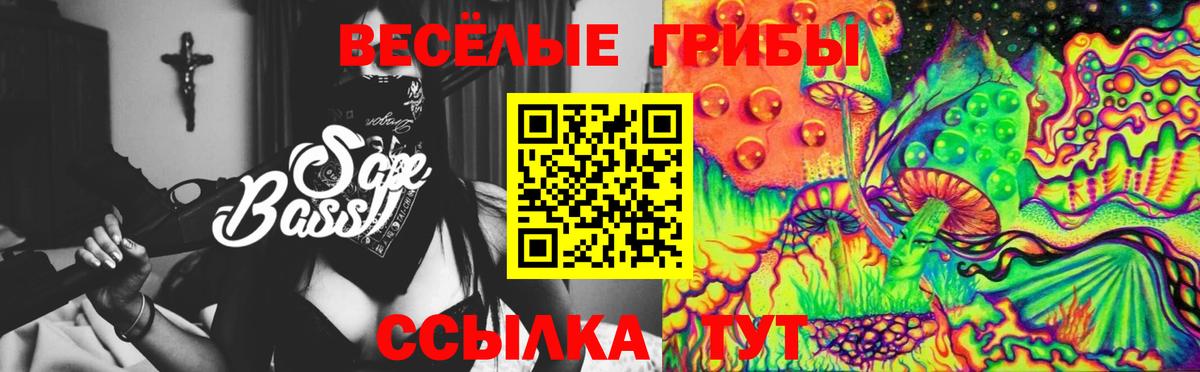 купить наркотики сайты  Вход с VPN  Мурино  Галлюциногенные грибы Psilocybe 
